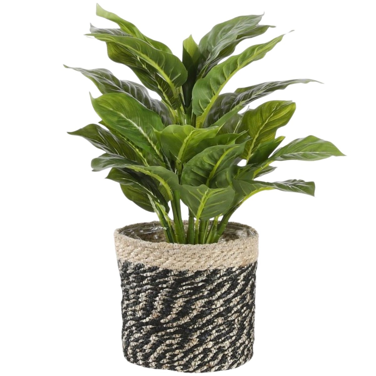 Panier à plantes noir naturel | C box